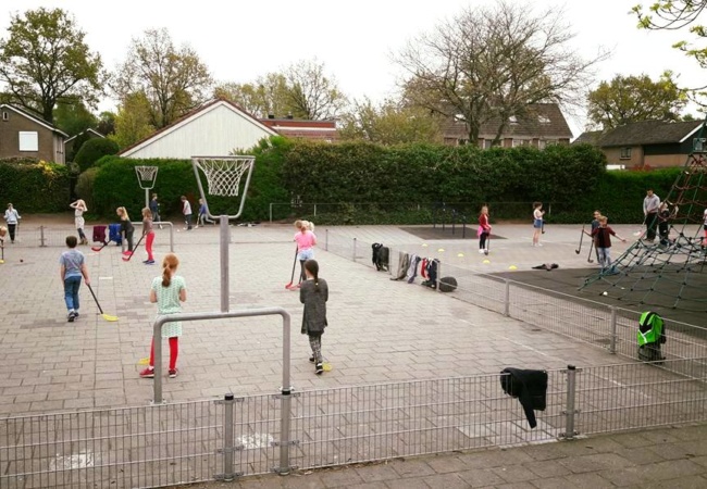 Healthy Ageing en floorball